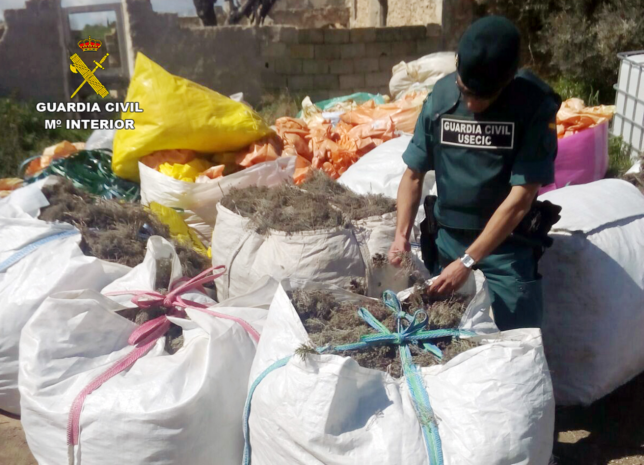 Imagen de las sacas con los cien kilos de tomillo y romero. Fotografía: Guardia Civil de la Región de Murcia