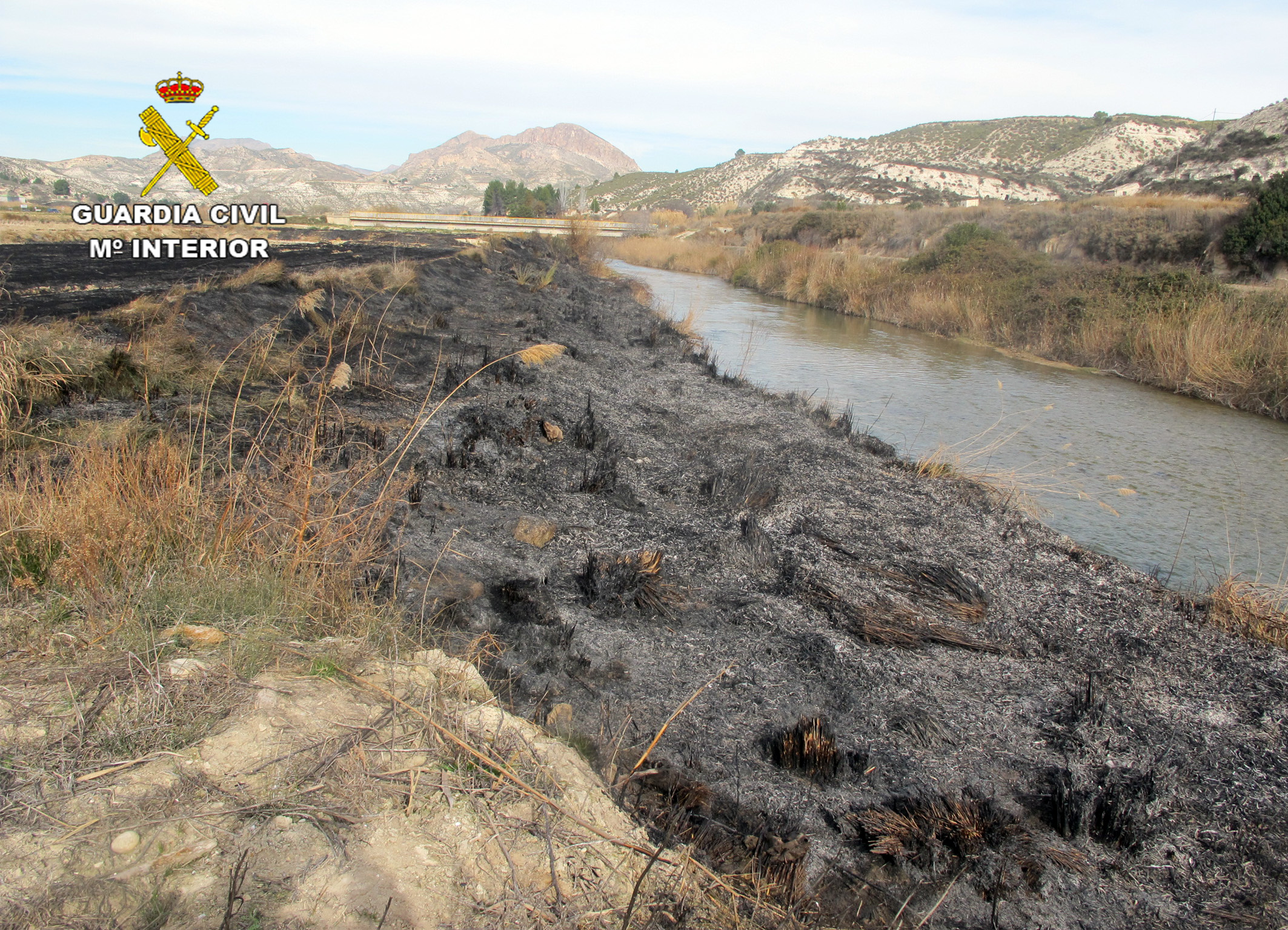 El fuego afectó a más de 4.000 metros cuadrados de terreno forestal con diversa vegetación. Imagen: Guardia Civil de Murcia