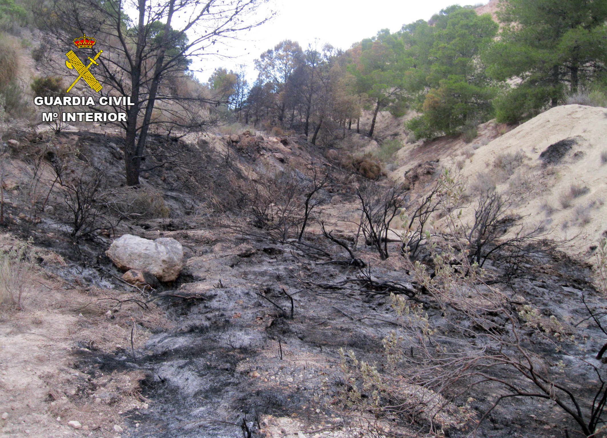 Aspecto del área afectada tras el incendio. Imagen: Guardia Civil