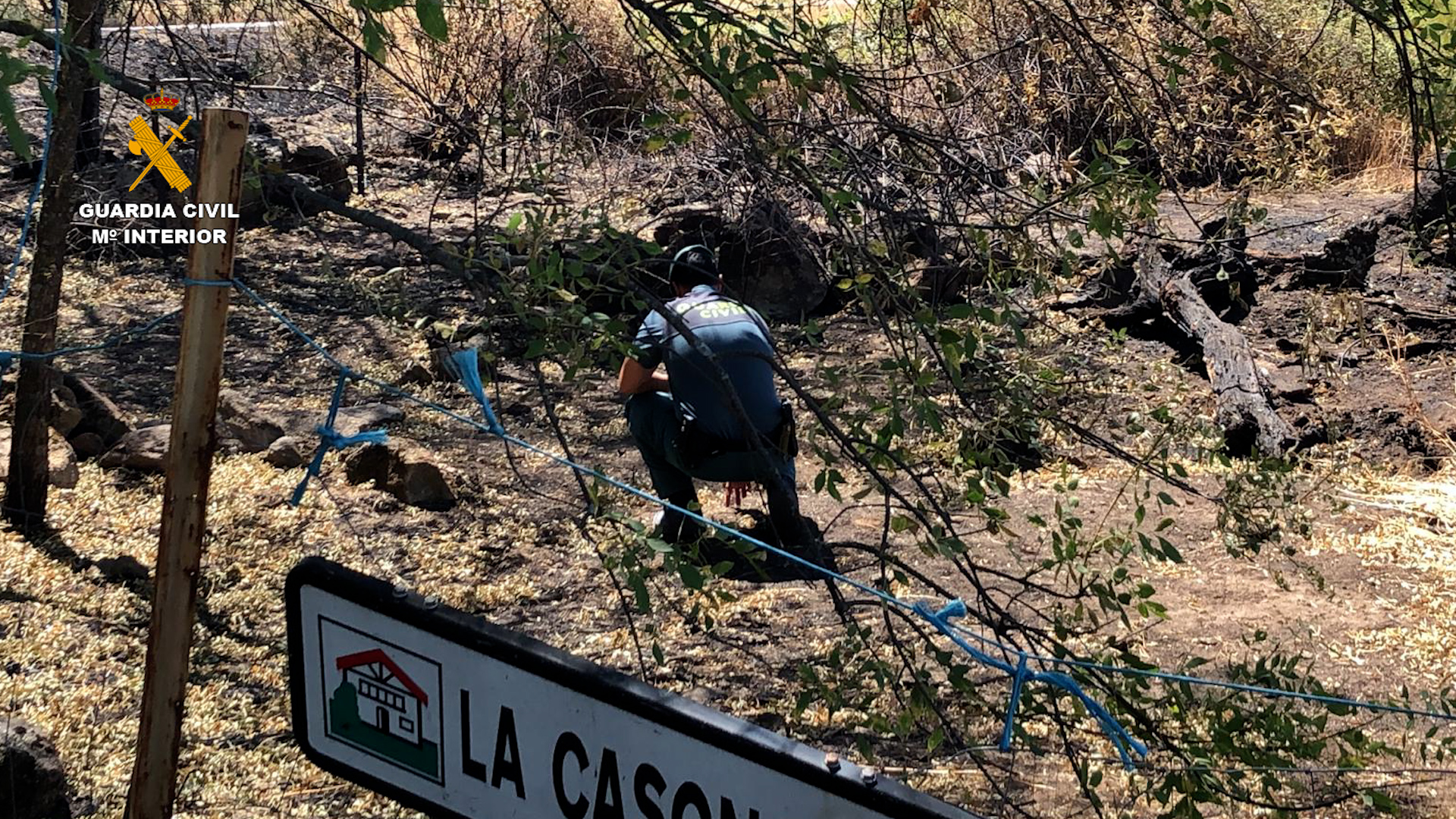 Al detenido en Cáceres se le atribuye la supuesta autoría de cuatro incendios forestales. Foto: Seprona