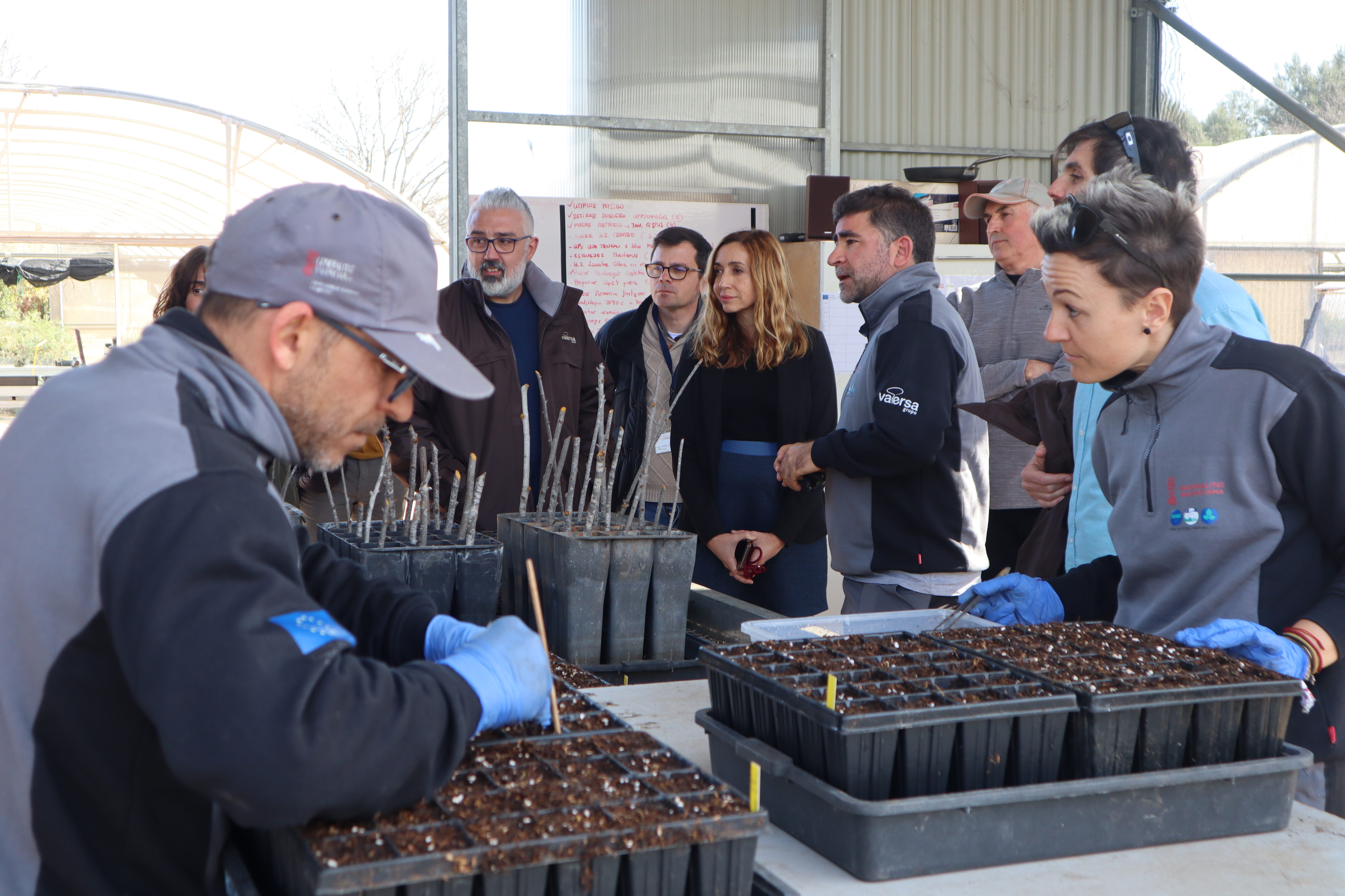 El proyecto incluye la conservación de semillas y la producción de planta en las instalaciones del CIEF. Foto: Comunidad Valenciana