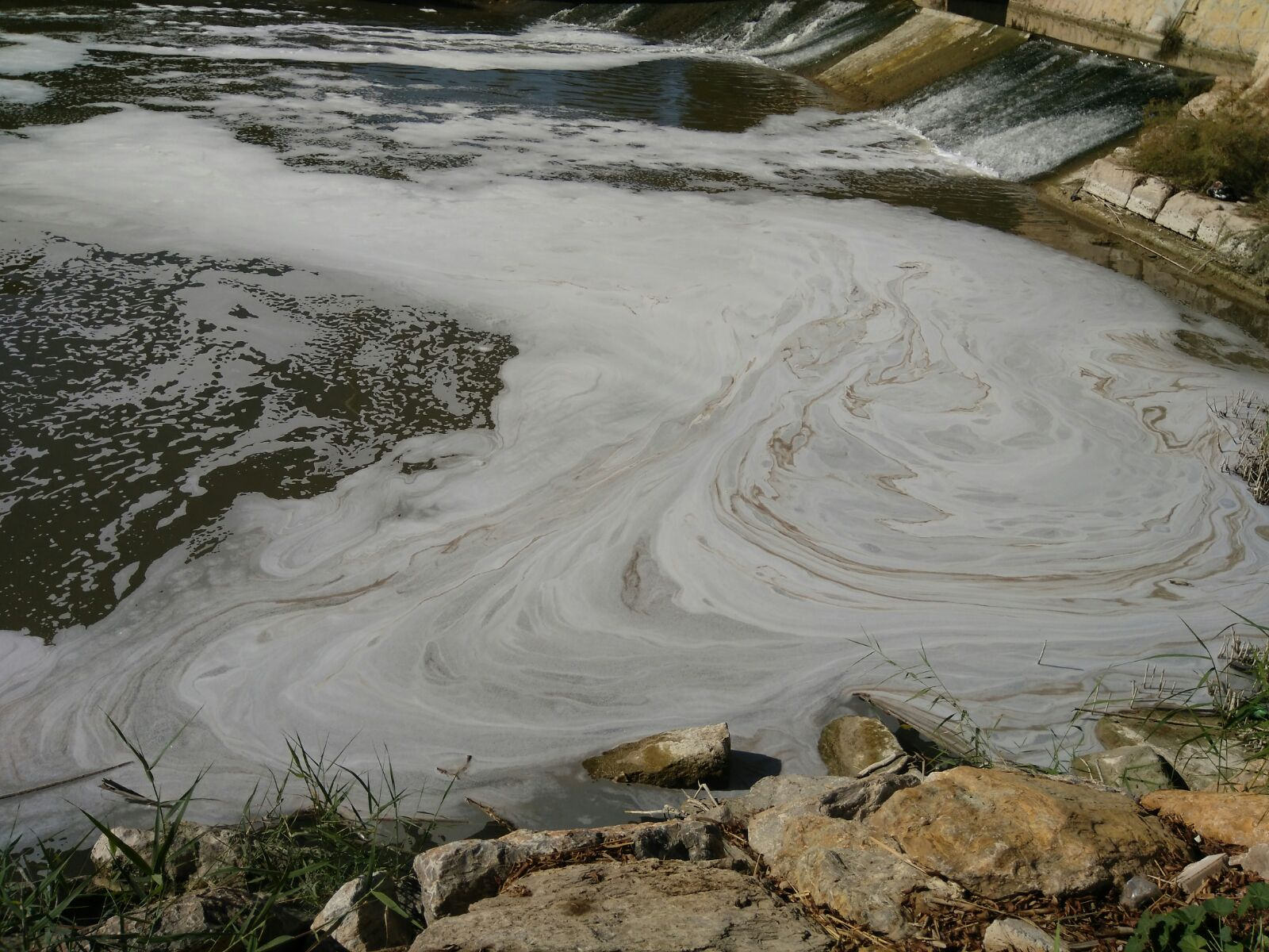 Un episodio anterior de contaminación en el río Segura. Imagen: EEA