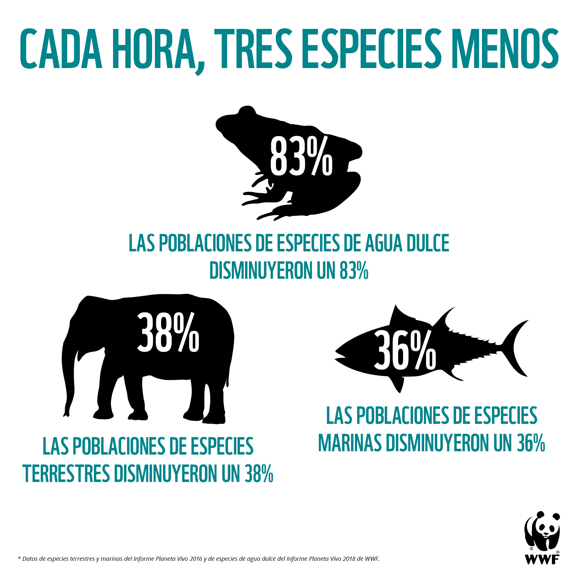 Cada hora, desaparecen tres especies en el mundo. Imagen: WWF