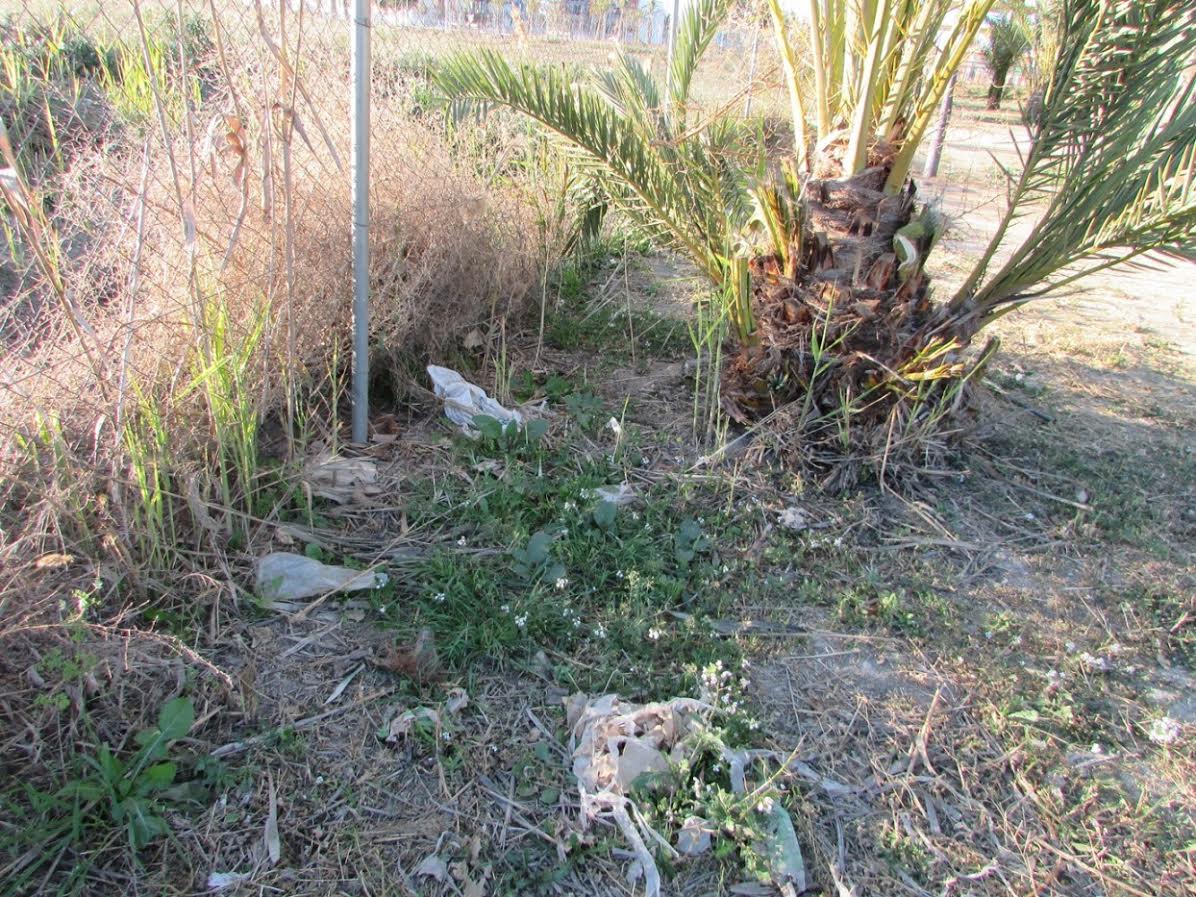 Acumulación de basuras en el Palmeral Chico de Zaraiche. Imagen: Huermur