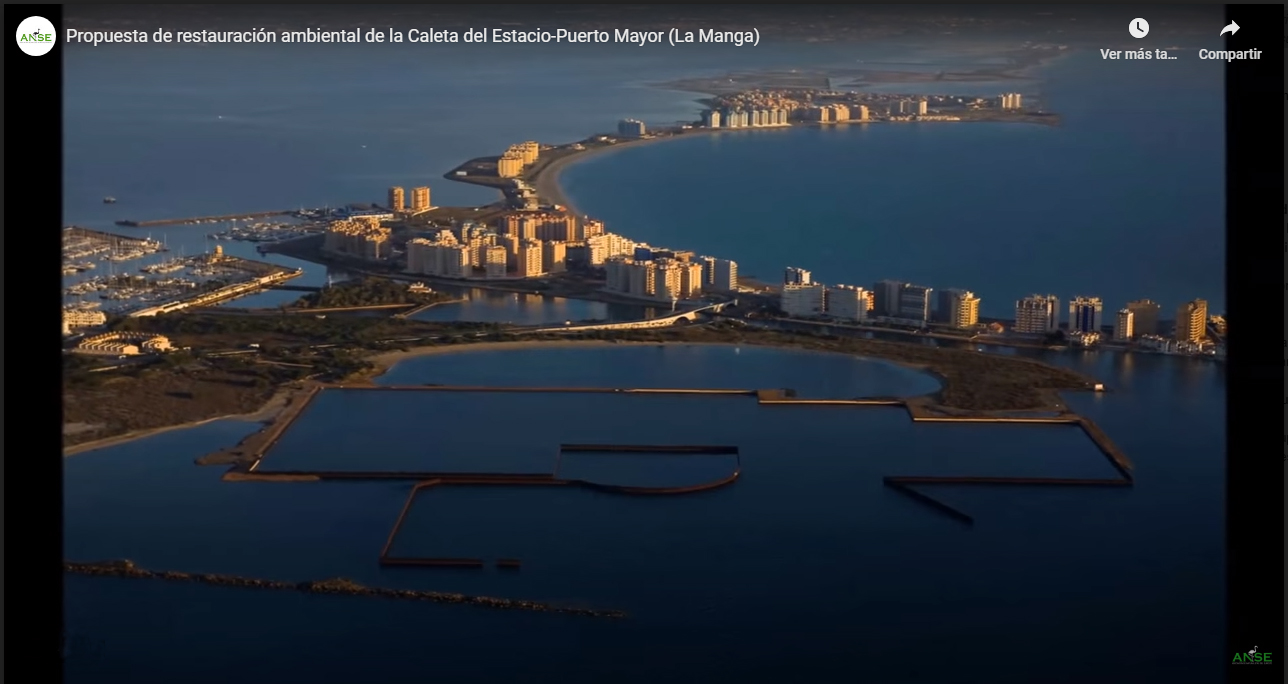 Fotograma del vídeo 'Propuesta de restauración ambiental de la Caleta del Estacio-Puerto Mayor (La Manga)' de ANSE