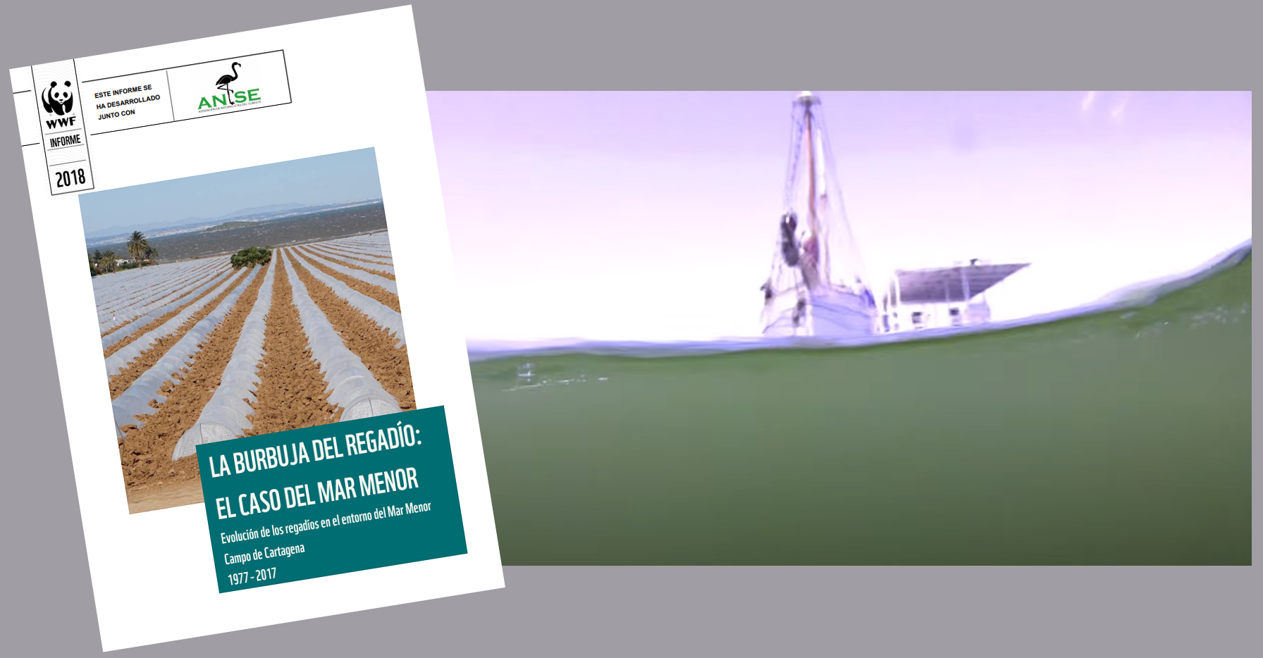 Dos trabajos de ANSE y WWF: el informe 'La burbuja del regadío: el caso del Mar Menor', de 208, y un fotograma del vídeo de la 'sopa verde' de 2016