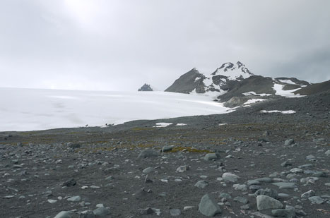 Área de la Antártida expuesta a la colonización biológica por retroceso del Glaciar Hurd. Imagen: Isla Livingston / MNCN.