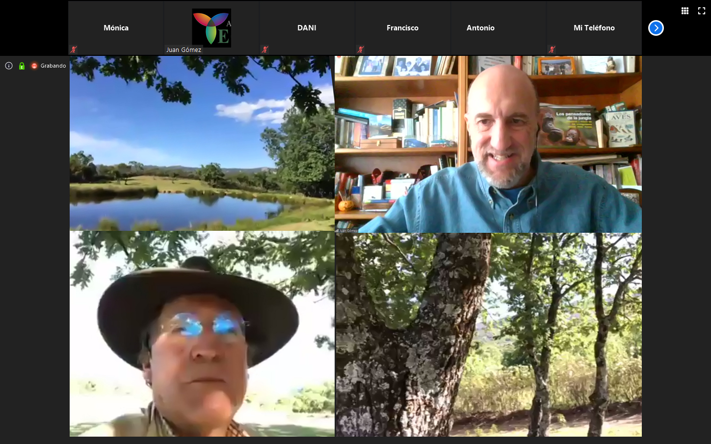 Cuatro capturas de diversos momentos de la videoconferencia. Arriba a la derecha Juan Gómez, de Ecotono; abajo Araújo, y dos imágenes de la finca del naturalista en Extremadura