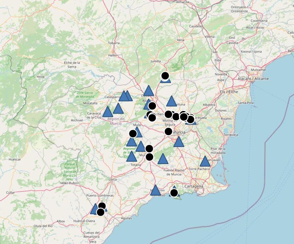 Triángulos: refugios conocidos de murciélago ratonero patudo en la Región de Murcia. Círculos: zonas de caza localizadas entre marzo y septiembre de 2020. Imagen: ANSE
