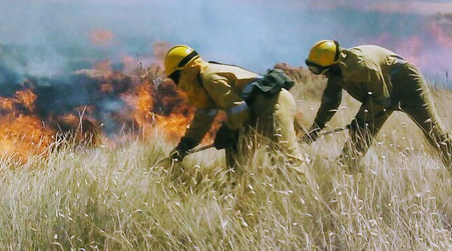 Bomberos frenando un incendio que se propaga en una zona de pastos no utilizados. La paja seca es una chispa para una cerilla. Foto: Cerai