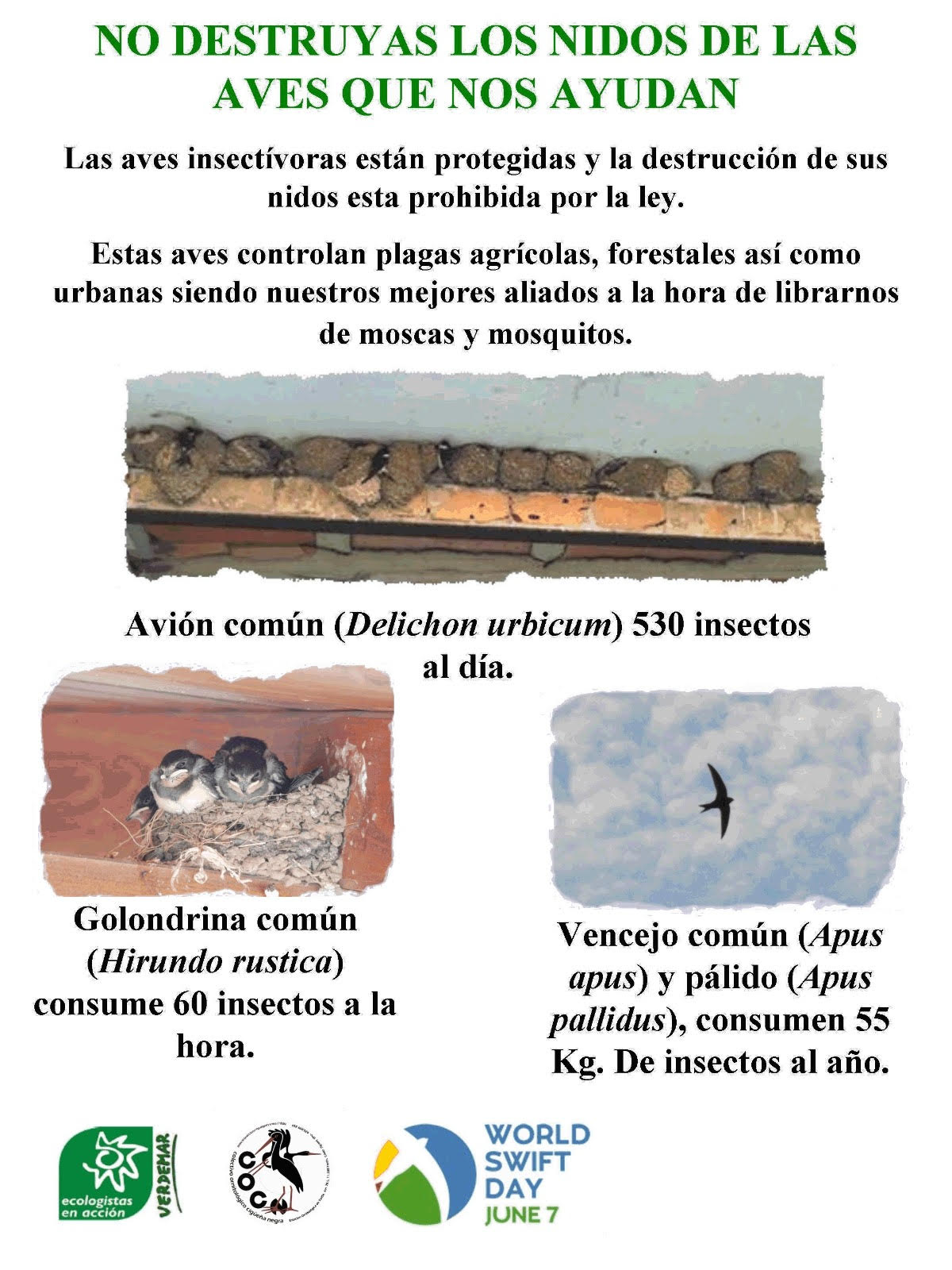 Cartel de la campaña de Verdemar-Ecologistas en Acción (EEA) y el Colectivo Ornitológico Cigüeña Negra (COCN) para proteger los nidos de aves insectívoras en la ciudad