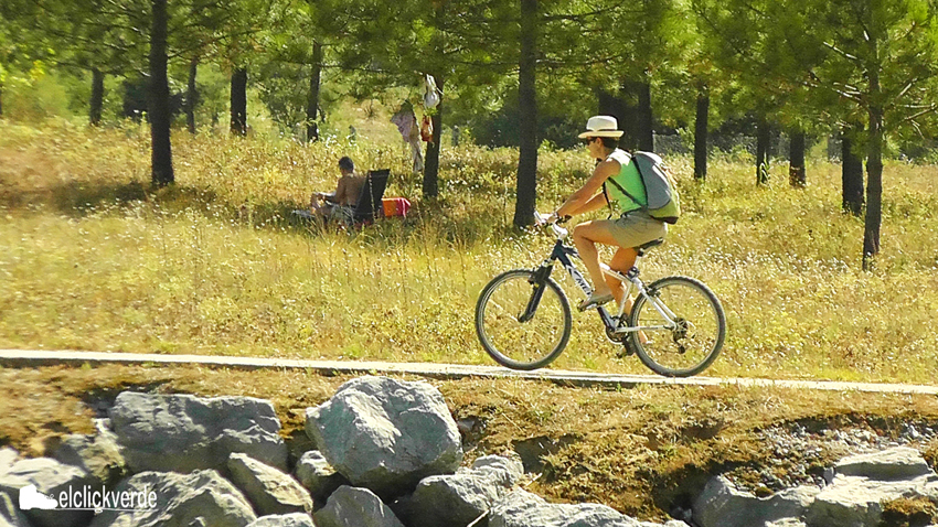 La bicicleta, entretenimiento y deporte en el campo, medio de transporte en la ciudad.