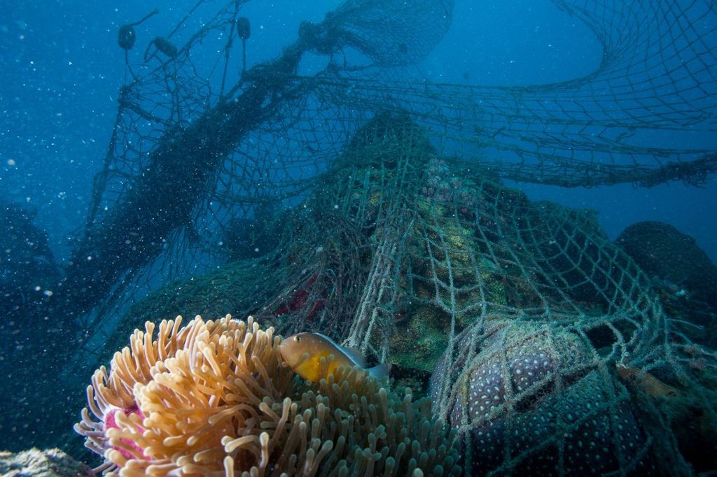 Las redes abandonadas pueden seguir atrapando especies como tortugas, tiburones, rayas y aves marinas durante décadas y tardan cientos de años en degradarse. Imagen: WWF