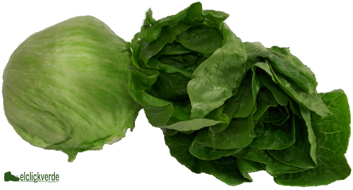 verduras-bodegon-1-limpio-p.png