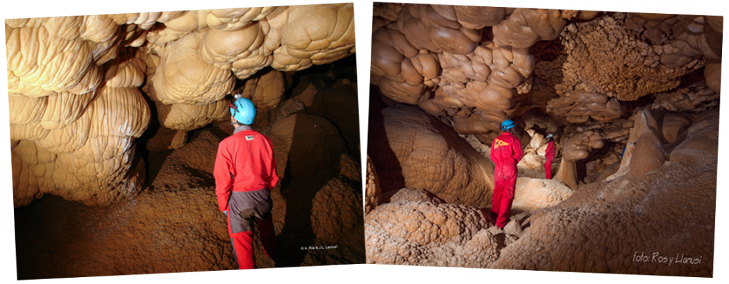 montaje-higuera-5-14.png