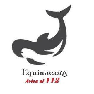 cetaceo_varado_112_equinac.jpg