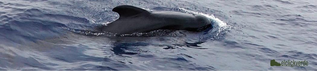 calderon_comun_ecv_naturaleza_murcia_1_2