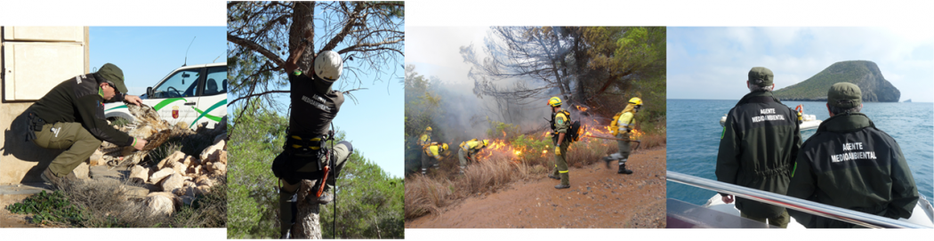 agentes-medioambientales-composic_peq.pn