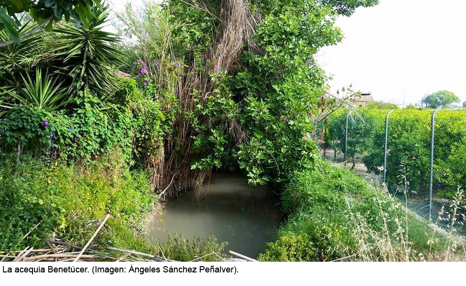 angelessnchzpenalver_acequia_benetucer_p