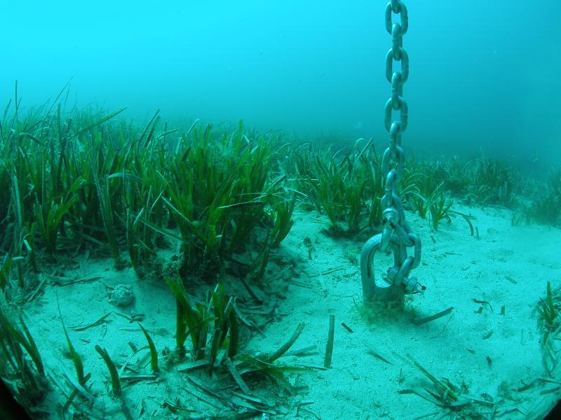 fondeo_ecologico_cala_cerrada_1_juanma_r