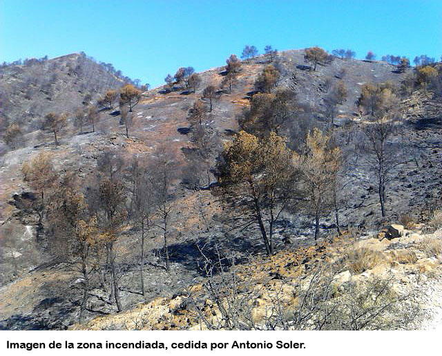 incendio_garruchal_antonio_soler_1.jpg