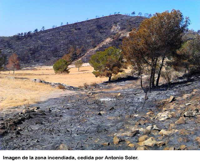 incendio_garruchal_antonio_soler_2.jpg