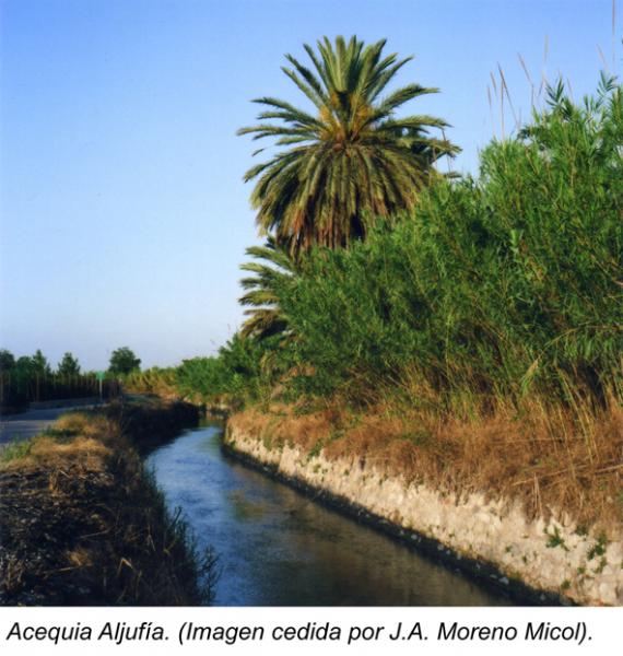 acequia_aljufia_huerta_de_murcia_peq.jpg
