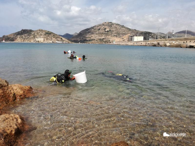 plumbium_hippocampus_elclickverde_4_1_pq