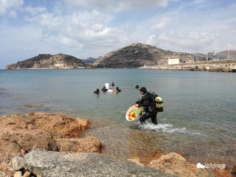 plumbium_hippocampus_elclickverde_6_pq.j