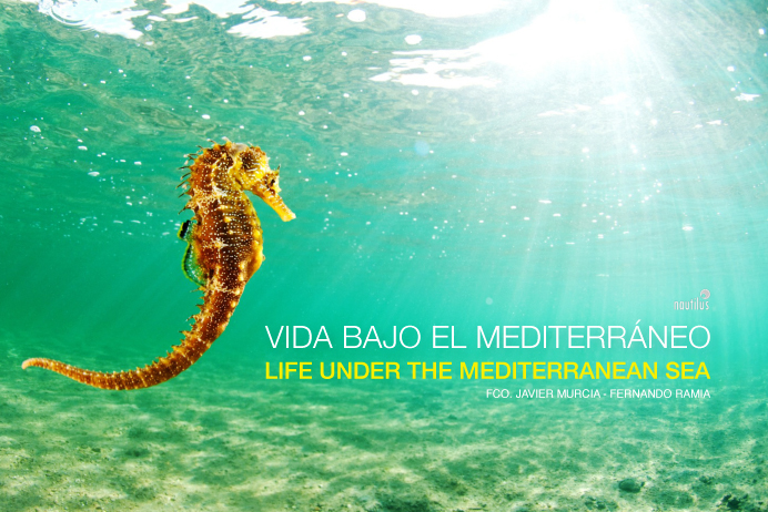 2-librofaunacomunidadvalenciana_portada1