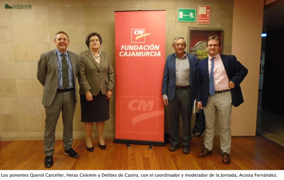 querol_heras_delibes_y_acosta_ecv_pie_pq