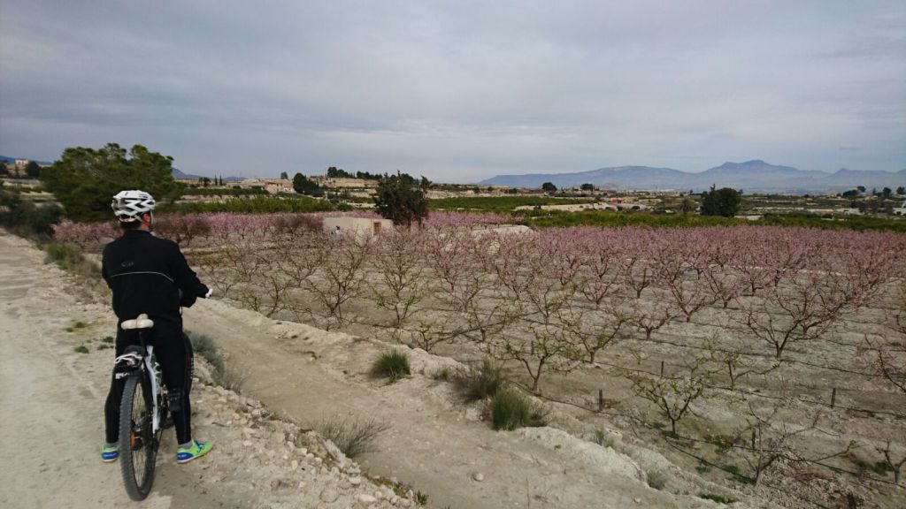 achoencuentros_murcia_en_bici_1.jpg