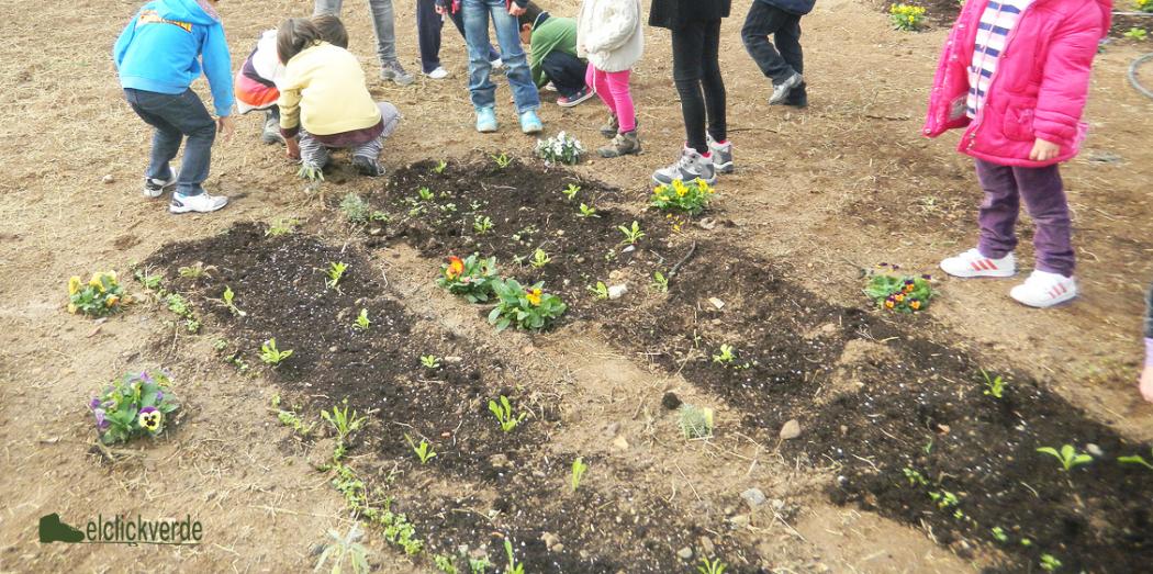 huerto_ninos_ecv.jpg