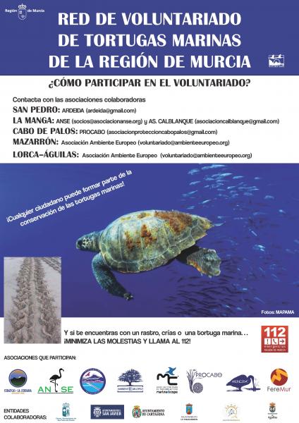 cartel_redvoluntariadotortugas_def.jpg