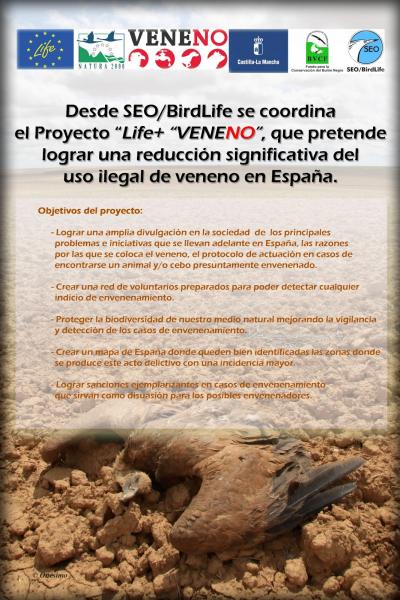 cartel_veneno_proyecto_seo.jpg