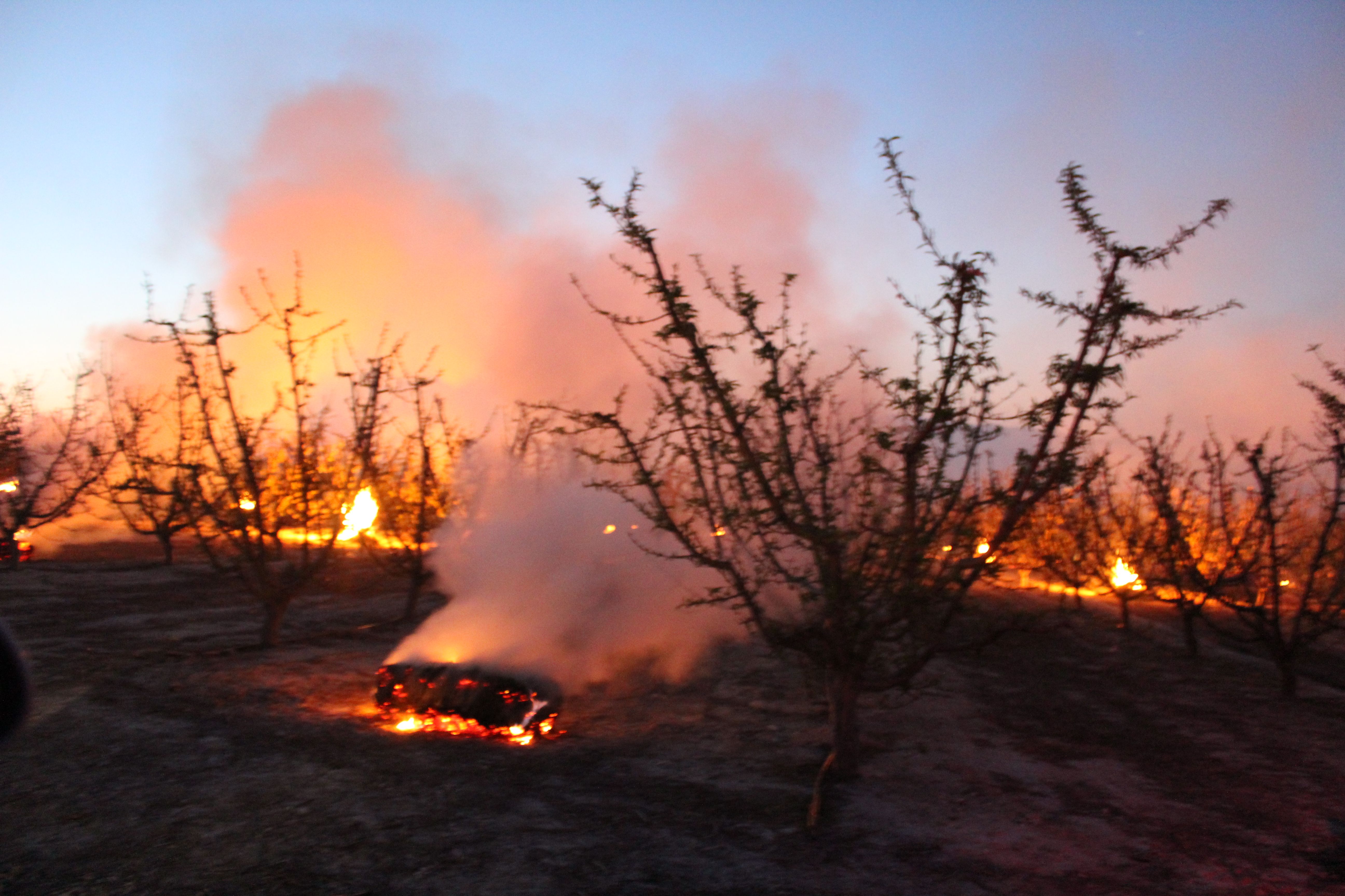 Balas antihelada quemándose en Cieza. Imagen: José Antonio Herrera Sánchez / EEA