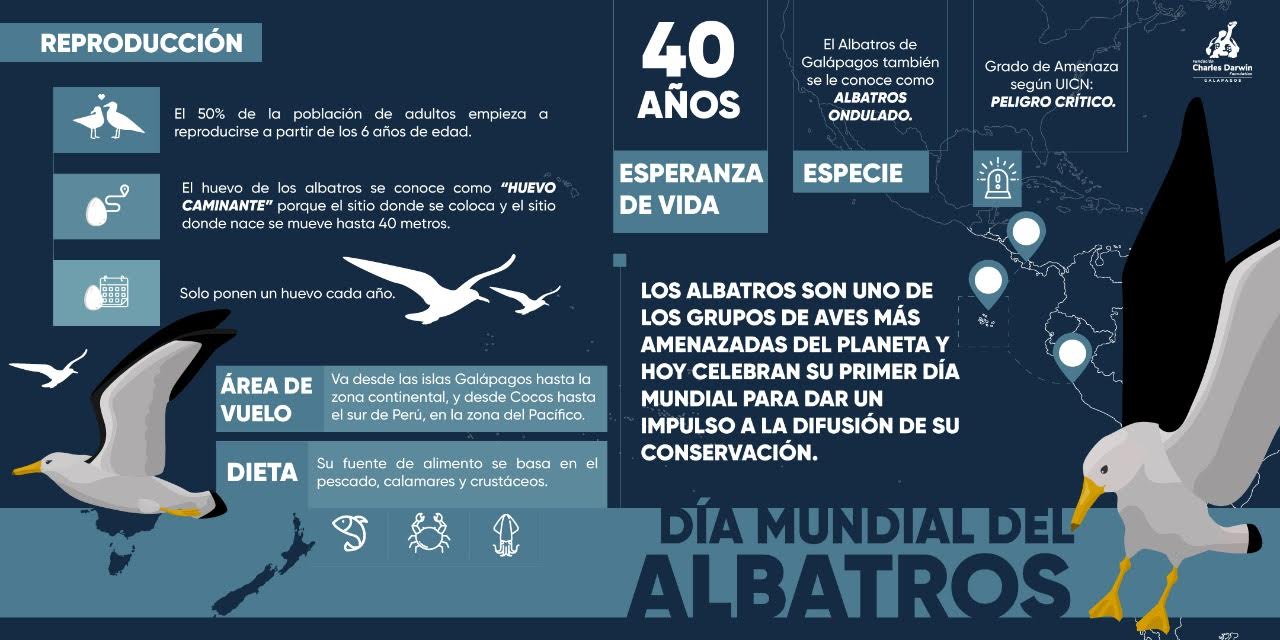 Infografía sobre el albatros de Galápagos. Imagen: Fundación Charles Darwin