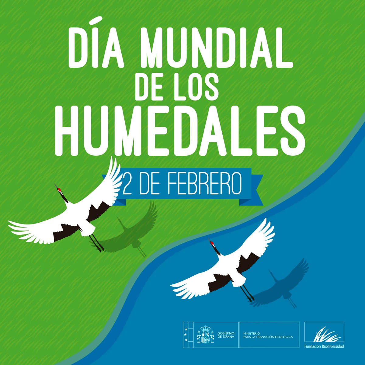 Día Mundial de los Humedales. Cartel del Miteco