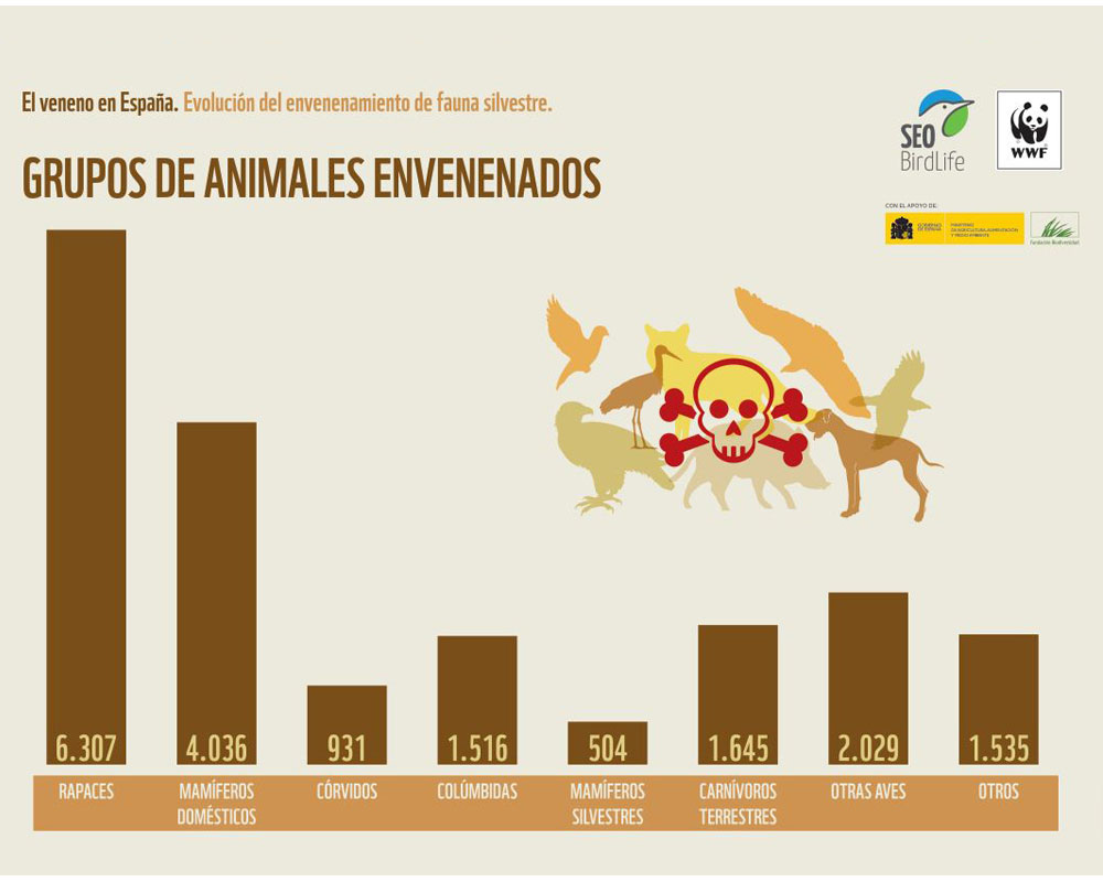Grupos de fauna envenenados en España. Imagen: WWF