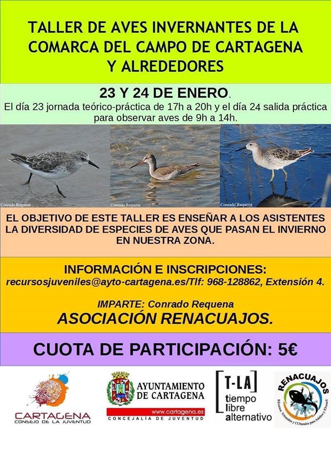 Cartel del Taller de identificación de aves invernantes con la Asociación Renacuajos.