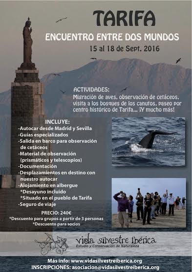 Excursión a Tarifa con Asociación Vida Silvestre Ibérica. Cartel