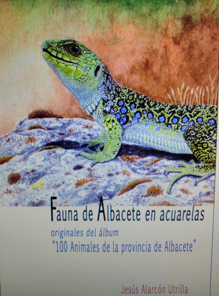 Exposición de Acuarelas de la fauna de Albacete.