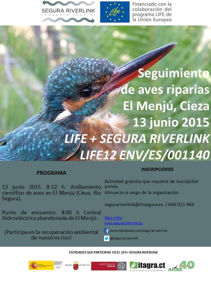 Anillamiento de aves de ribera con LIFE+ Segura Riverlink