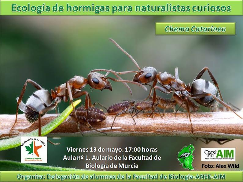 Charla: 'Ecología de las hormigas para naturalistas curiosos' con ANSE