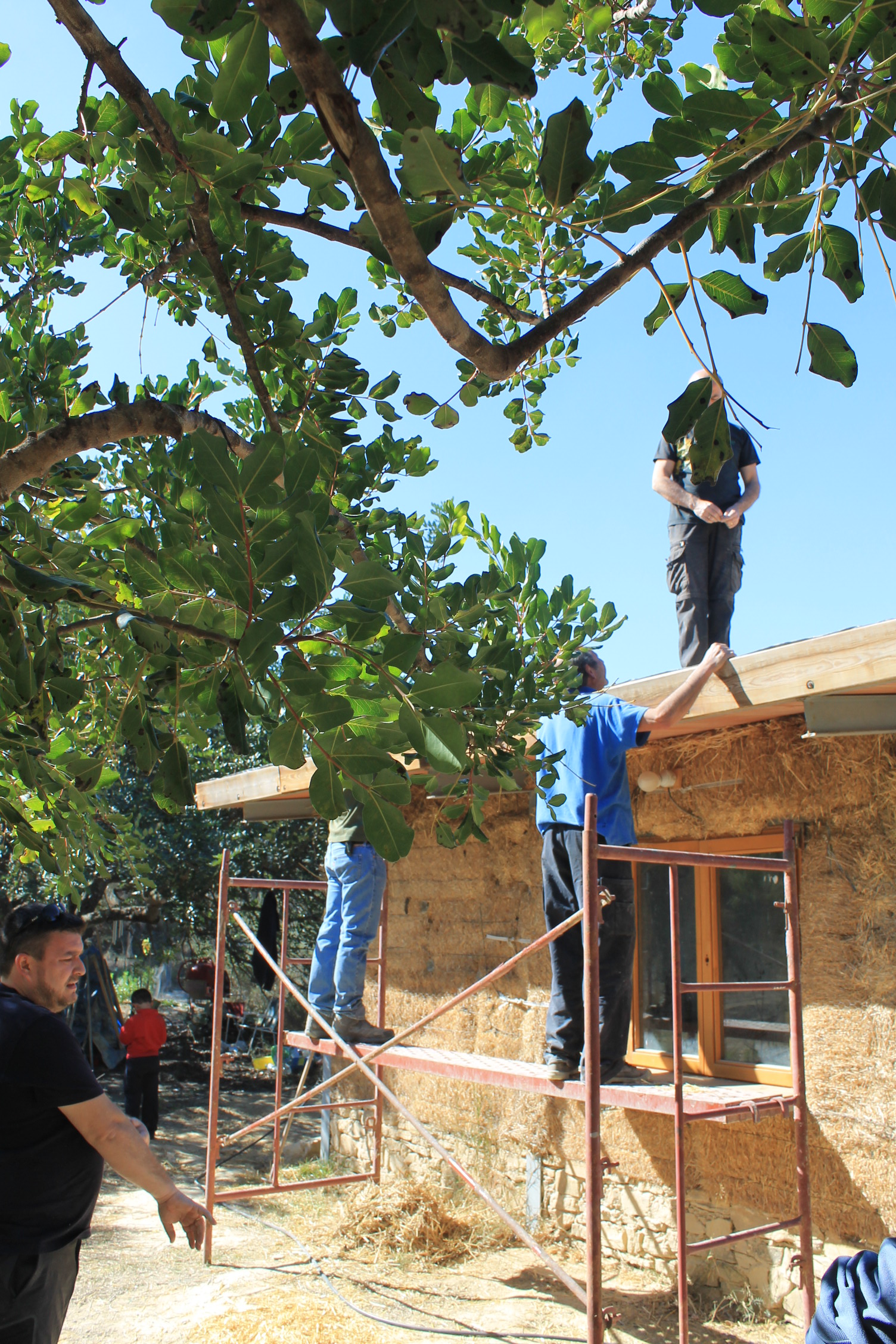 Construcción de una casa de paja.