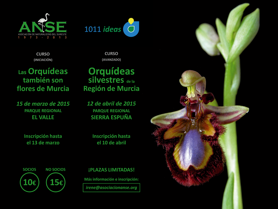 Dos cursos sobre orquídeas con ANSE y 1011 Ideas