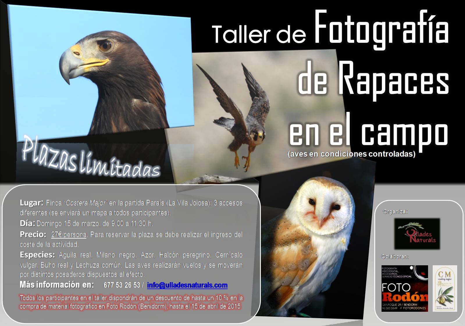 Curso de fotografía de rapaces en condiciones controladas