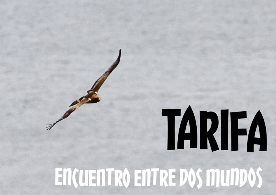 Excursión a Tarifa con Asociación Vida Silvestre Ibérica