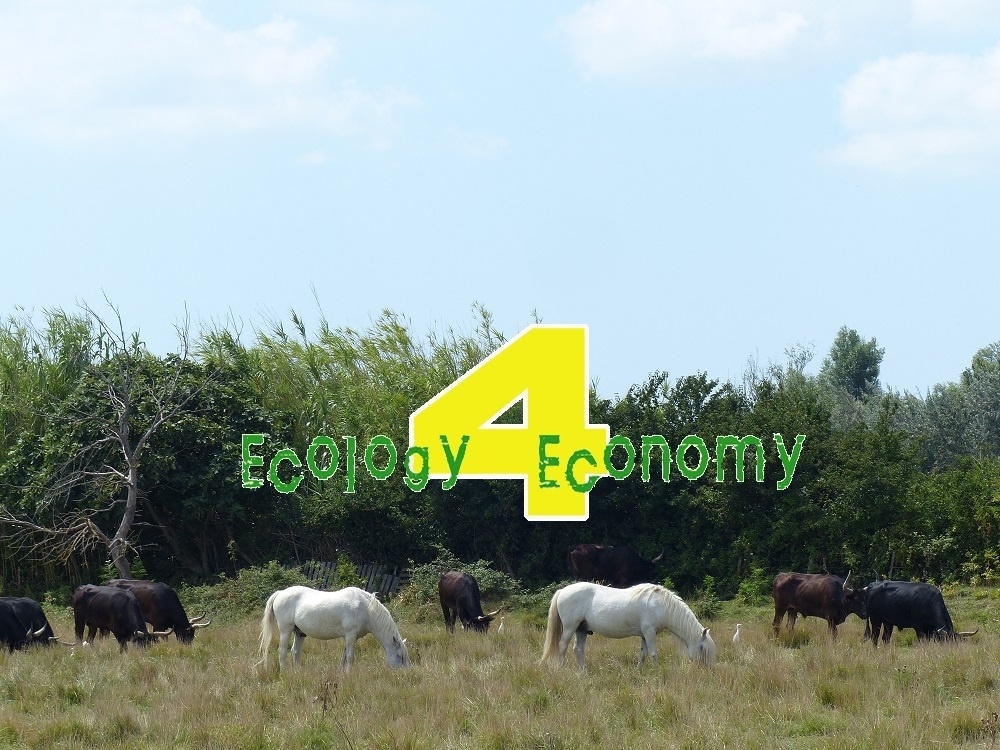  I Encuentro E4E: Ecología para la Economía, con la Asociación Cultural Fuentevieja.