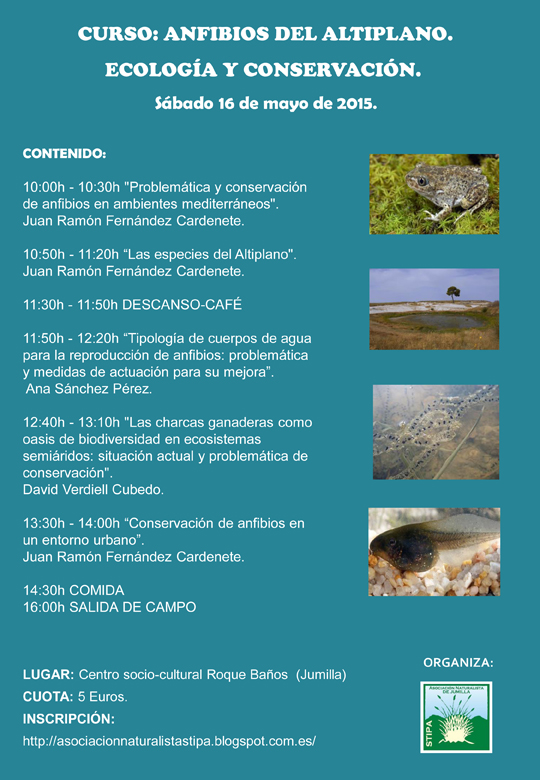 Curso sobre Anfibios del Altiplano con Stipa Curso sobre Anfibios del Altiplano con Stipa
